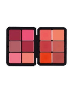 blush blusher set 12 colors multicolor - pzsku/ZD149FE59ABEF5108C063Z/45/_/1663268249/20defd72-4e0a-4ede-b3c3-efc07baf0fbe