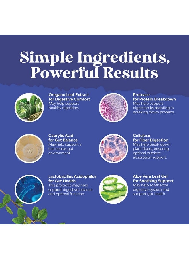 Natures Craft تنظيف الجسم كندي كلير من ناتشرز كرافت للنساء - تنظيف الأمعاء المضاد للنمو الزائد للنساء مع حمض الكابريليك والجوز الأسود والأفسنتين والأوريجانو - تنظيف كامل للجسم مع البروبيوتيك والبريبيوتيك - Image 5