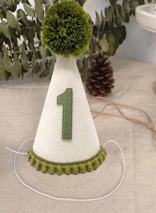 Ysqool First Birthday Hat for Baby Boy, 1st Birthday Hat with Green Pompom, Baby Party Crown for Boys Girls Wild One Party Decorations, Smash Cake and Photo Props - Image 3