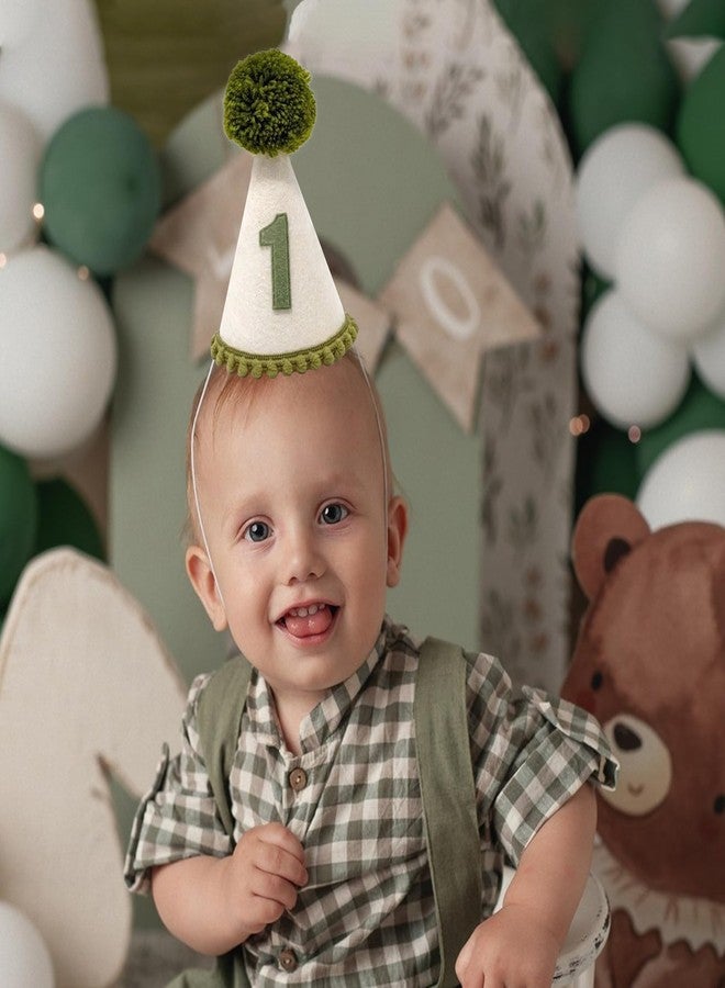 Ysqool First Birthday Hat for Baby Boy, 1st Birthday Hat with Green Pompom, Baby Party Crown for Boys Girls Wild One Party Decorations, Smash Cake and Photo Props - Image 5