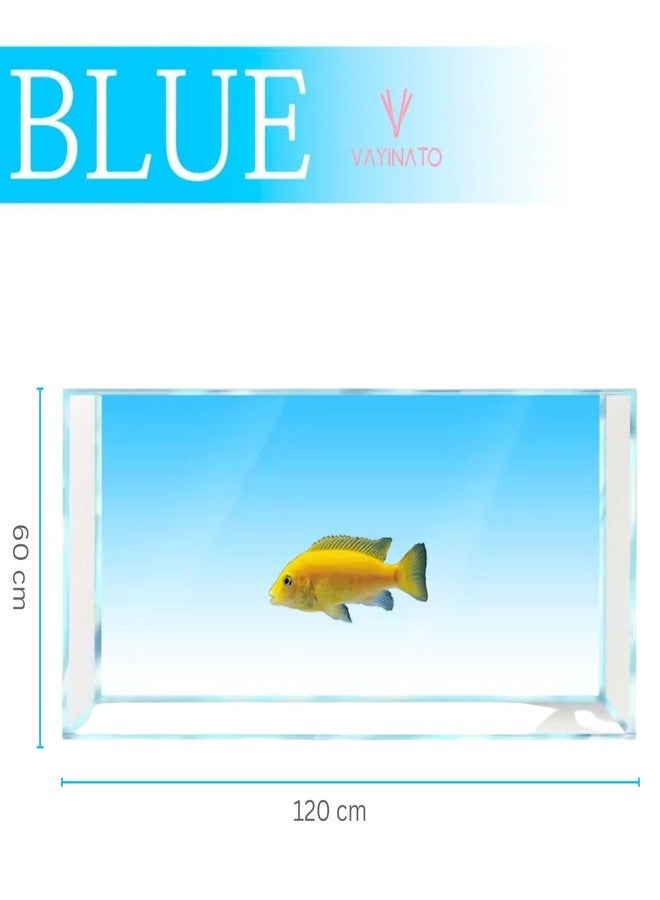 VAYINATO® Sky Blue (60 * 120 cm) Gradient Aquarium Fish Tank Background - Natural Look Aquarium Poster - Easy to Apply | Simple Wallpaper Fish Tank Backdrop Decorations - Image 4