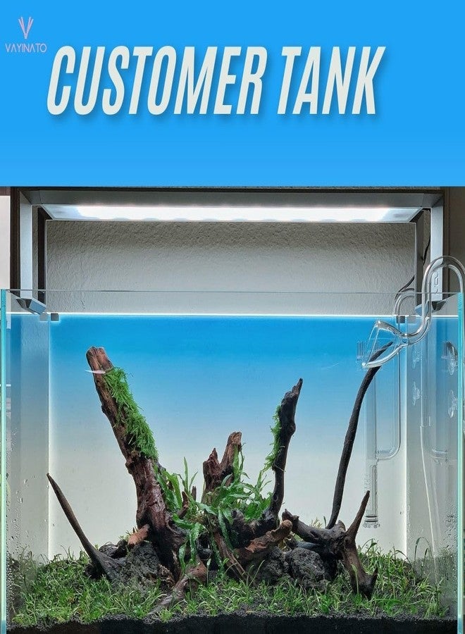 VAYINATO® Sky Blue (60 * 120 cm) Gradient Aquarium Fish Tank Background - Natural Look Aquarium Poster - Easy to Apply | Simple Wallpaper Fish Tank Backdrop Decorations - Image 5