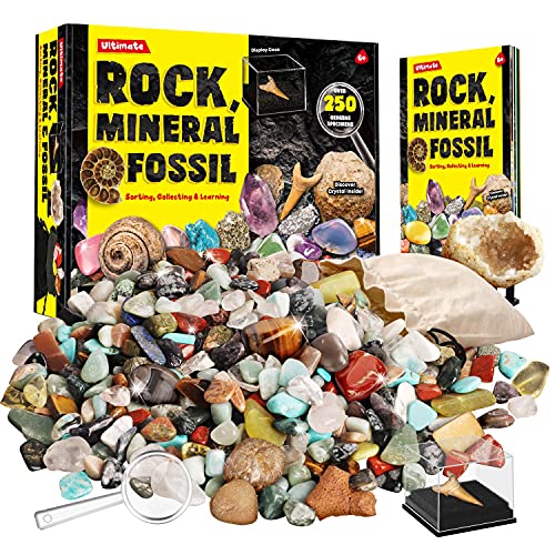 XX Rocks Minerals Fossils Collection for Kids 250 Real Gemstones and Crystals Rock Identification Kit Includes Display Case Genuine Fossils Geodes Great Geology Science Gift for Boys Girls - Image 1