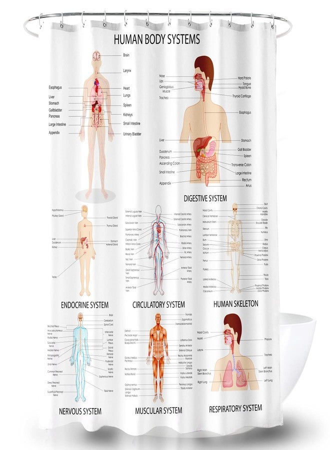 AO BLARE Human Anatomy Shower Curtain Complete Chart of Different Human Organ System Polyester Fabric Shower Curtain 72X72 Inches - Image 1
