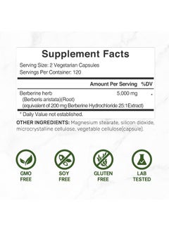 DEAL SUPPLEMENT Berberine Max Supplement, 5,000Mg Per Serving, 240 Veggie Capsules – 97% Pure Berberine Hcl – 25:1 Root Extract – Vegetarian Friendly, Non-Gmo  - Image 2