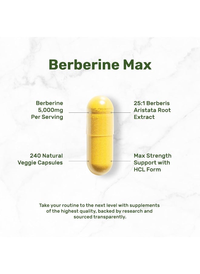 DEAL SUPPLEMENT - Berberine Max Supplement, 5,000Mg Per Serving, 240 Veggie Capsules – 97% Pure Berberine Hcl – 25:1 Root Extract – Vegetarian Friendly, Non-Gmo - Image 1