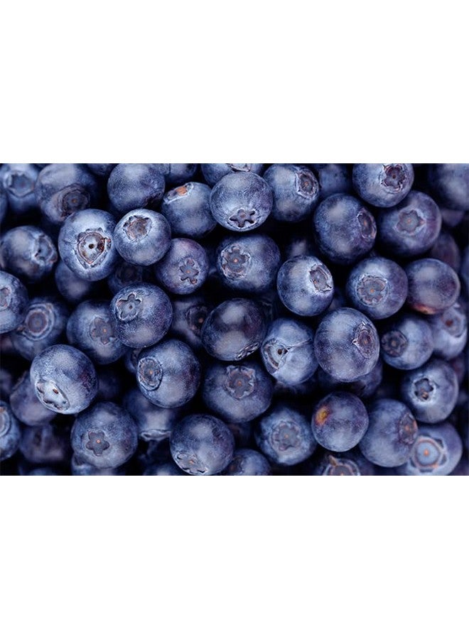 Jovvily Bilberry Extract Powder - 8 oz - Herbal Supplement - Always Pure - No Fillers - Image 3