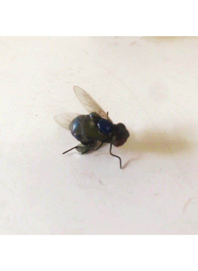 Suitable For Simulation Of Insects, Flies, Magnet, Refrigerator Stickers, Decorations, Scene Layout, Educational Supplies, Entire People Play 