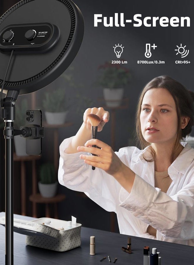 TODI Large Ring Light with 79" Stand, 6500K Full-Screen Selfie Light Ring with Stand and Phone Holder, Professional Big Ring Light for Live Stream, YouTube, TikTok, Makeup, Video, Barber, Photography - Image 2