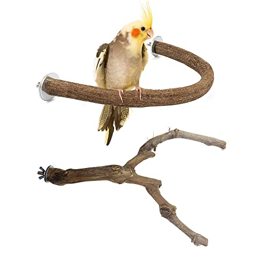 Allazone Bird Natural Wood Stand Perch Swing U Shape Natural Parrot Perch Bird Stand Pole for Parakeet Conure Cockatiel Budgie Lovebirds - Image 1
