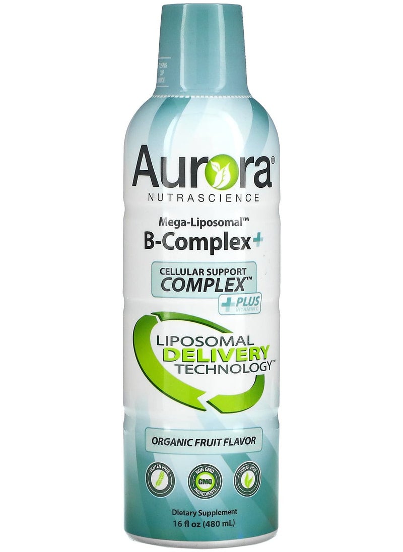 Mega-Liposomal B-Complex+, Organic Fruit, 16 fl oz (480 ml) - pzsku/ZD156145BE567989A9E93Z/45/_/1719567701/389329a0-146c-43c3-90ea-041815ec4cc0