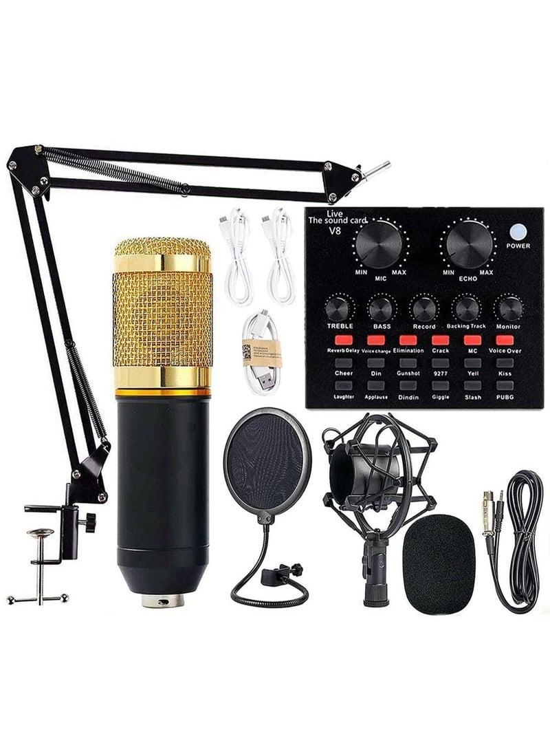 ELTRAZONE Professional Condenser Microphone With V8S Live Sound Card And Studio Recording Broadcasting Set Black/Gold - Image 1