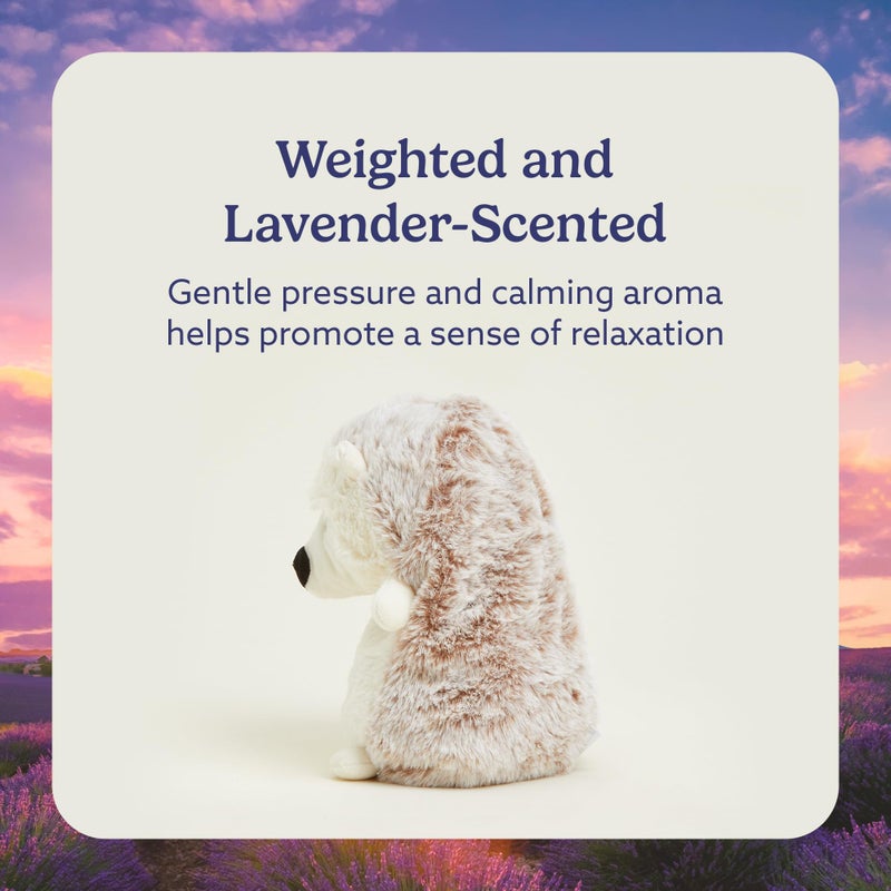 warmies Microwavable & Weighted Stuffed Animals, Hedgehog - Heated Stuffed Animal Plushie for Warmth & Comfort - Cute Soft Plush Toys for Adults & Children (Boys, Girls, Babies & Toddlers) - Image 3