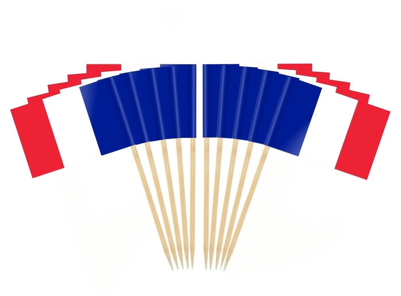JAVD CYPS 100 Pcs France Mini Stick Cupcake Toppers - French Flag Toothpicks for Cake, Cocktail, Food Bar, Celebration Decoration - Image 1