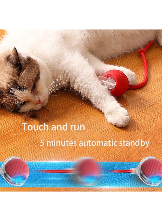 كرة لعبة ذكية للقطط مع أصوات الطيور والدحرجة التلقائية - كرة تفاعلية قابلة لإعادة الشحن للقطط، حبل من الريش اللامع، وقت لعب يصل إلى 6 ساعات، كرة آمنة ومتينة لمداعبة القطط الصغيرة - Image 4