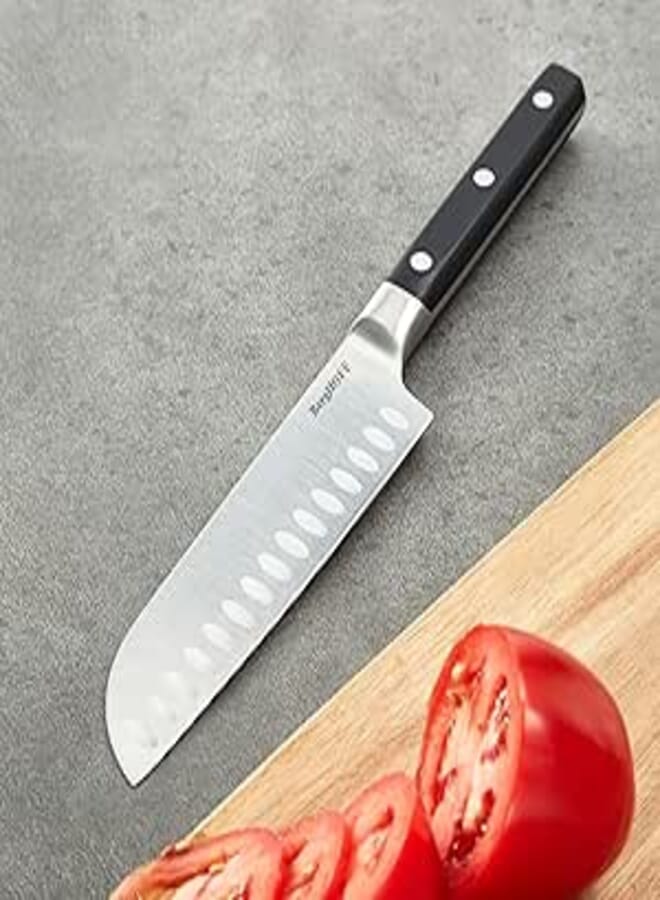 DINA Gene Santoku Knife 13.5 cm Compact Stainless Steel Kitchen Knife for Precise Cutting and Everyday Food Preparation