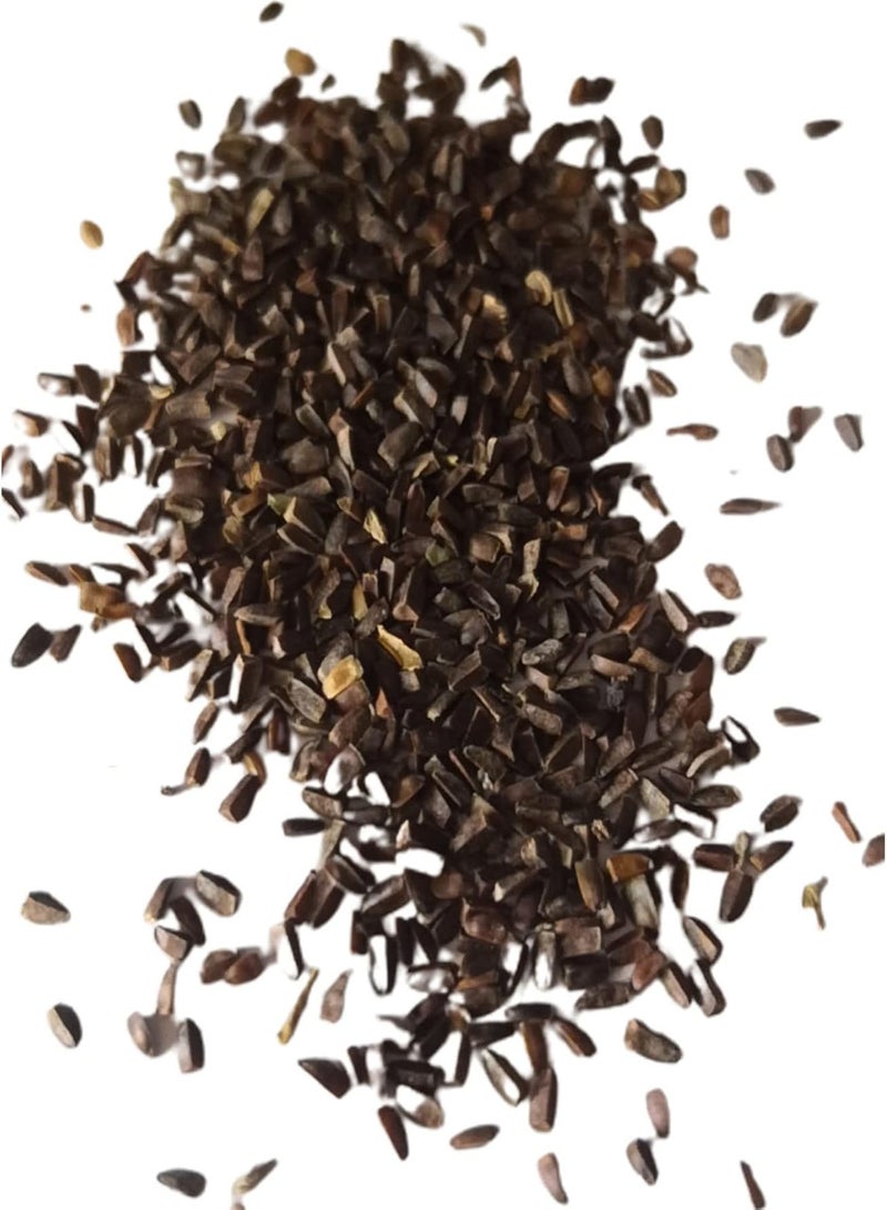 GGOOT 100Pcs/Set Daffodil Seeds Vitality Excellent Producing Medium Watering Perennial Seeds for Yard Seeds for Home - Image 3