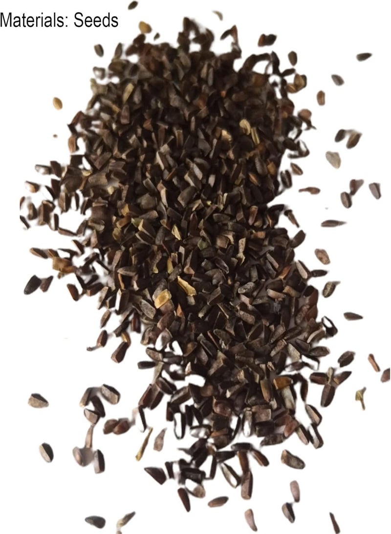 GGOOT 100Pcs/Set Daffodil Seeds Vitality Excellent Producing Medium Watering Perennial Seeds for Yard Seeds for Home - Image 5