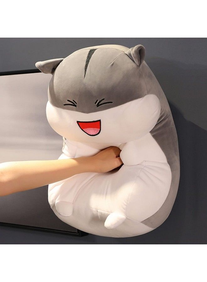Webby Plush Cute Hamster Soft Toy Ragdoll Doll Big Pillow Girl Sleeping Bed Cute Girl Birthday Gift For Kids 35 Cm - Image 4