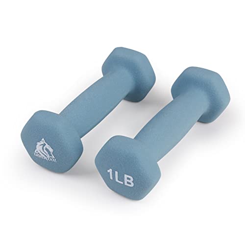 LIONSCOOL Neoprene Coated Dumbbell Weights (Sea 1lb Pair) - Image 1