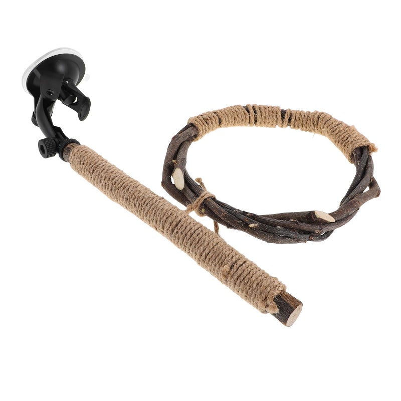 Natural Wood Parrot Perch Stand With Large Suction Cup For Indoor And Outdoor Use - Image 2