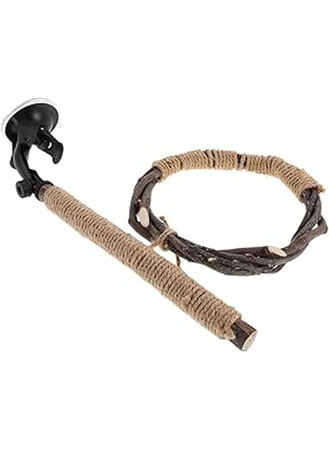 Natural Wood Parrot Perch Stand With Large Suction Cup For Indoor And Outdoor Use - Image 1