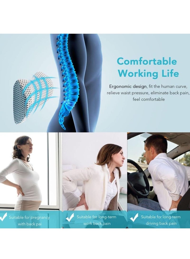 Lumbar Support Pillow for Bed, Ergonomic Back Support Memory Foam Lumbar Pillow for Sleeping, Lower Back Pain Relief, Detachable Washable Back Pillow for Office Chairs, Car Seats (Blue-White)