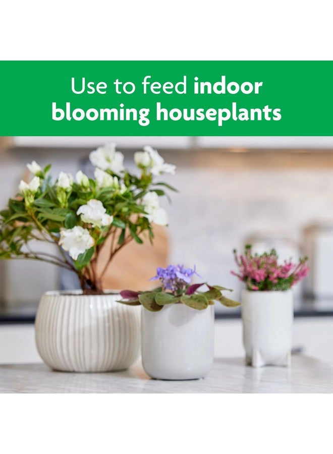 Miracle-Gro Blooming Houseplant Food, 8 oz., Plant Food Feeds All Flowering Houseplants Instantly, Including African Violets - Image 5
