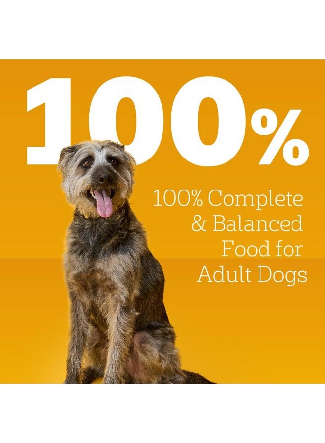 Pedigree طعام كلاب رطب عالي البروتين، لحم بقر وخروف ودجاج ديك رومي مع صوص مرق - عبوة متعددة 13.2 أوقية (12 علبة، عبوة واحدة) - Image 4