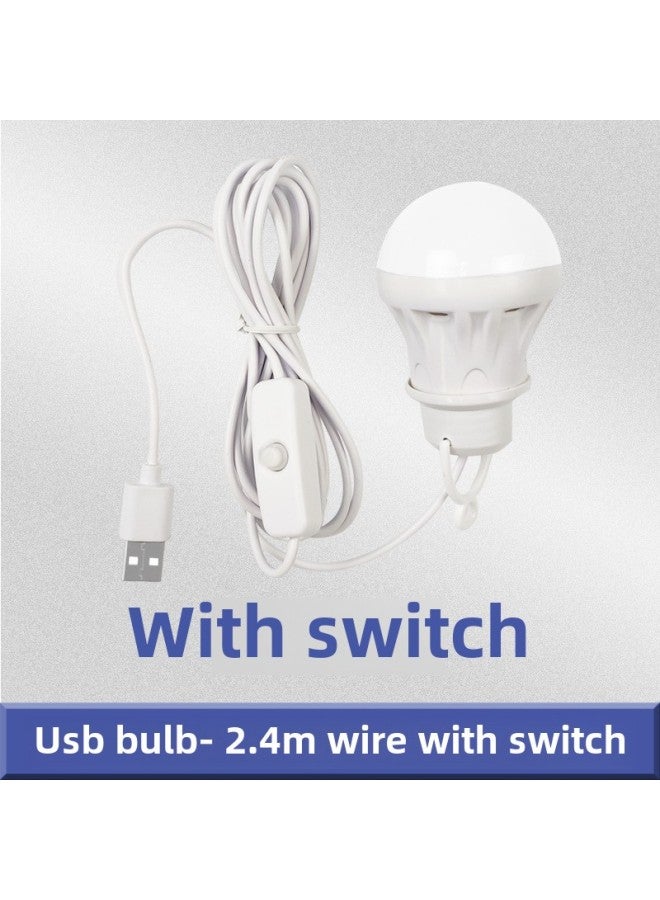 5v Usb Led Bulb Light Portable Power Bank Street Stall Computer Use Low Voltage Outdoor Lighting Lantern-Color:With Switch (2.4 Meters With Switch) (no Packaging Bare Lamp) - Image 1