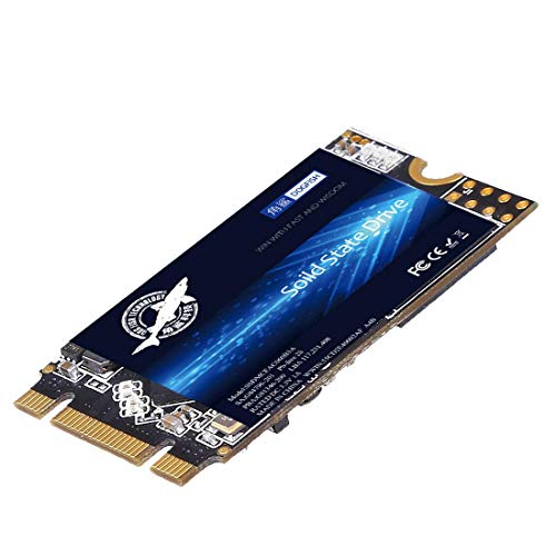 DogFish SSD SATA M.2 2242 256GB Dogfish Ngff Internal Solid State Drive High Performance Hard Drive for Desktop Laptop SATA III 6Gb/s Includes SSD 60GB 120GB 240GB 250GB 480GB 500GB 1TB (256GB M.2 2242) - Image 1