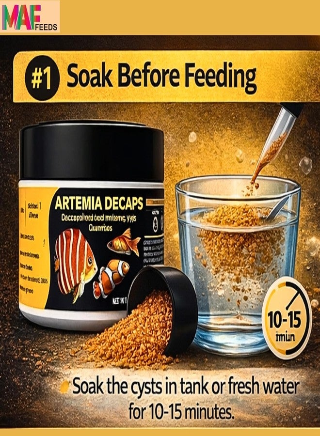Aqua Petz Decapsulated Artemia Cyst 100 Gram | Brine Shrimp Eggs, Decap Artemia Non Hatchable Dry Eggs, High Protein Rich Direct Feed for New Born Baby Fishes - Image 2