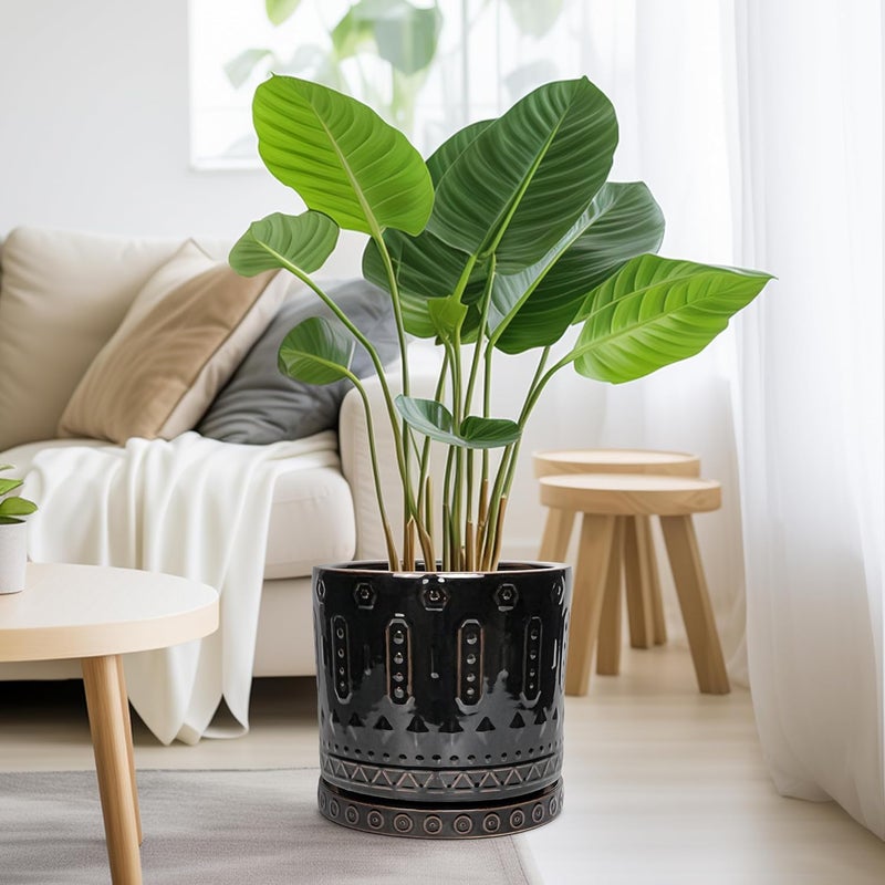 Eightpot Ceramic Planter for Indoor Plants - 10 Inch Plant Pots with Drainage Hole and Saucer, Round Decorative Flower Pots Outdoor, Boho Large Planter, Room Decor, House Warming Gifts, Black - Image 4