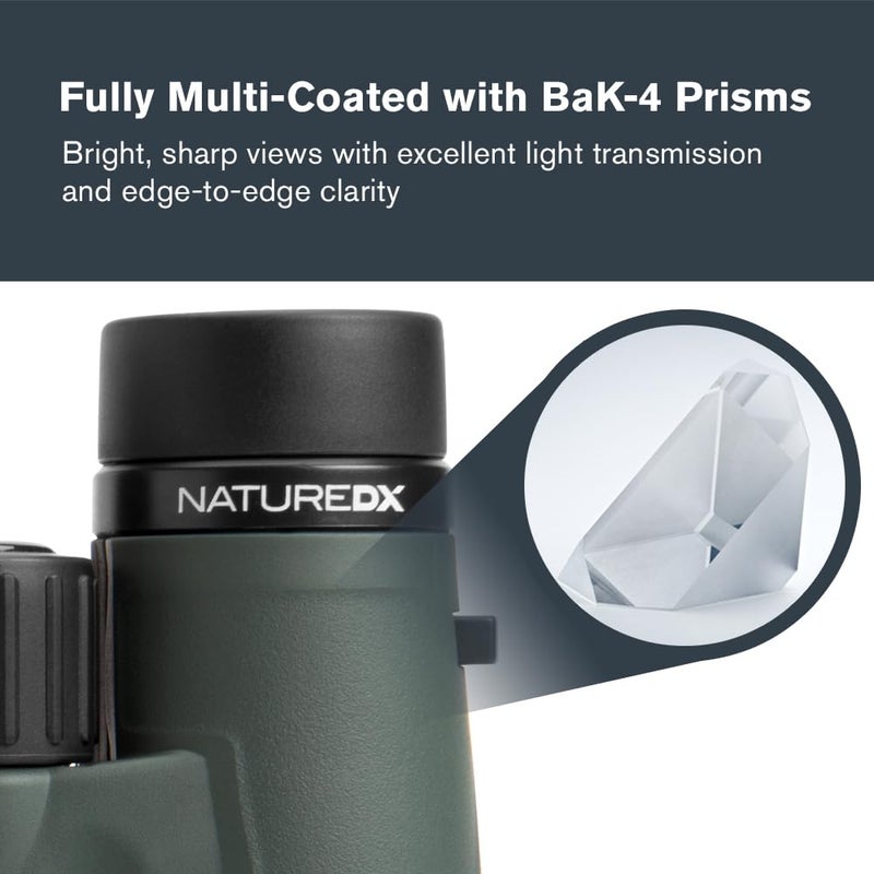 سلسترون منظار سيليسترون 71333 Nature DX 10x42 مم مع عدسات متعددة الطبقات، زجاج منشوري BaK-4 وحقيبة حمل، أخضر - Image 3