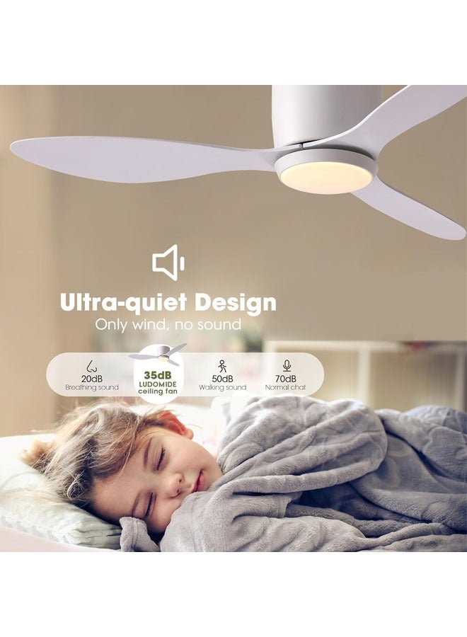 L&E Ceiling Fans with Lights, 42 Inch Low Noise Reversible Airflow DC Motor Ceiling Fan with Remote Control, 2000LM Flush Mount Ceiling Fan for for Bedroom, Living Room-Black - Image 4