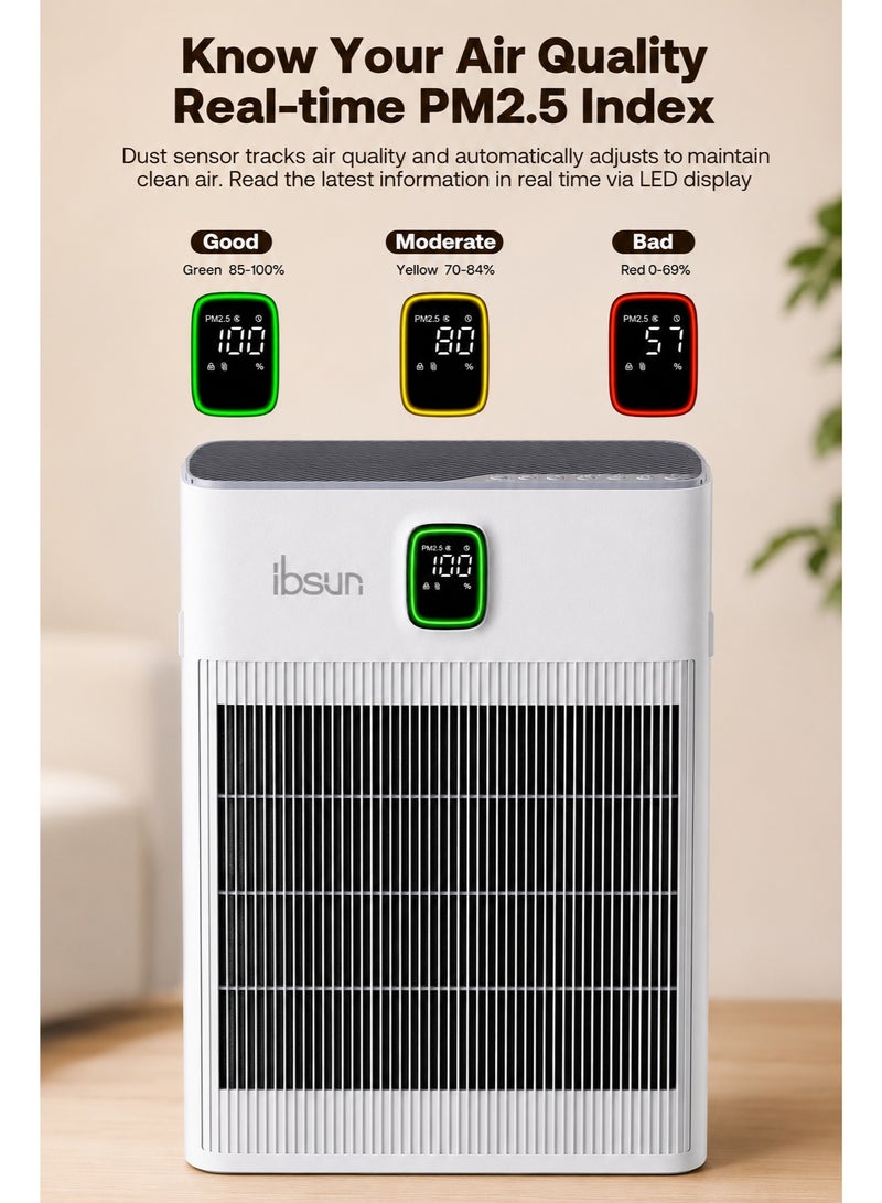ibsun Air Purifier for Home and Large Room up to 80 m², Double-Sided Air Inlet, Auto Mode, PM2.5 Display, Washable Pre-Filter, H13 HEPA and Sleep Mode, P290 - Image 4
