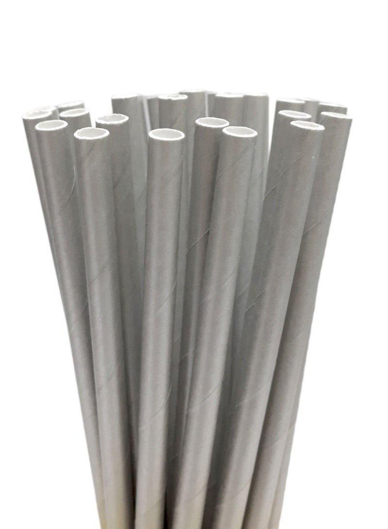 Party Time 25 Pieces Disposable Drinking Paper Straws 6mm Silver Color Party Tableware Supply - Image 2
