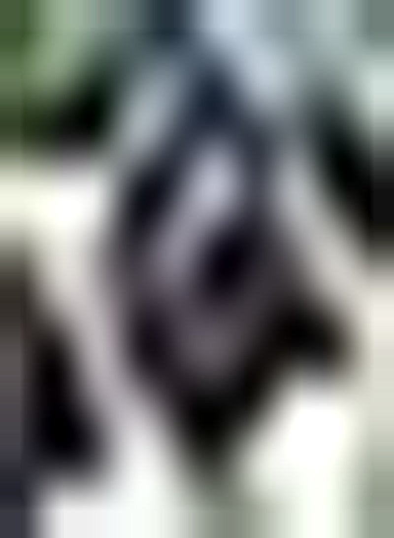 GGOOT 5pcs Black Tulip Seeds Potted Perennial Flower Seeds for Planting Mysterious Color Long Flowering Bouquet Vase Decoration - Image 1