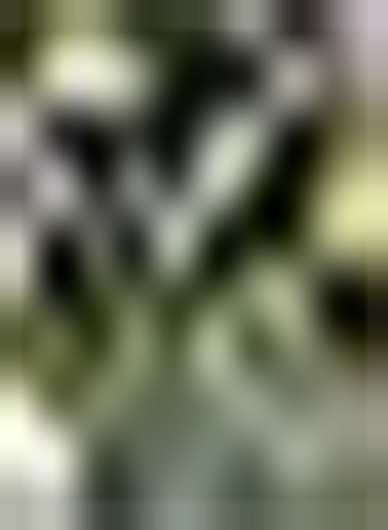 GGOOT 5pcs Black Tulip Seeds Potted Perennial Flower Seeds for Planting Mysterious Color Long Flowering Bouquet Vase Decoration - Image 2