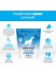 mushroom Matrix Rix Pet  Canine | Maximum Recovery | Usa Grown HumanGrade Organic Mushroom Powder Pet Supplement | Optimal Health & Senior Care For Dogs & Cats | 200 Grams, 7.1 Oz  - Image 3