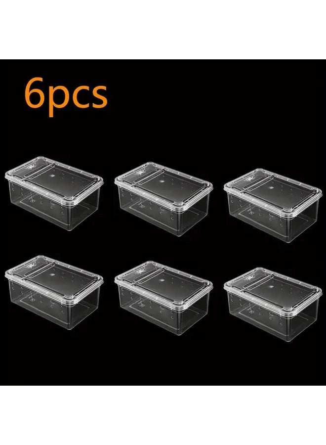 6 قطع صندوق تربية حشرات شفاف من الأكريليك، محمول وذو تهوية لمراقبة العناكب والعقارب - Image 5