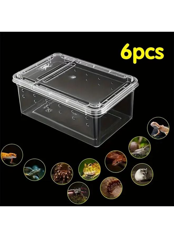 6 قطع صندوق تربية حشرات شفاف من الأكريليك، محمول وذو تهوية لمراقبة العناكب والعقارب - Image 2