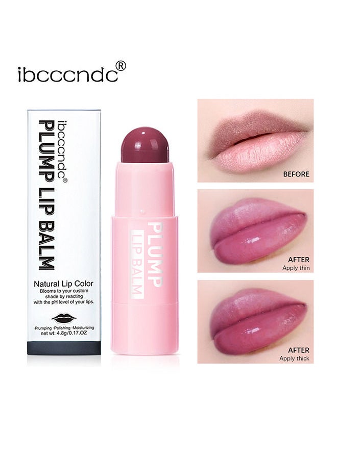 ibcccndc Lip Plumper Lip Balm Buildable Lip Color - Natural Gloss Finish - Face Makeup with Lasting Hydration  - Image 1