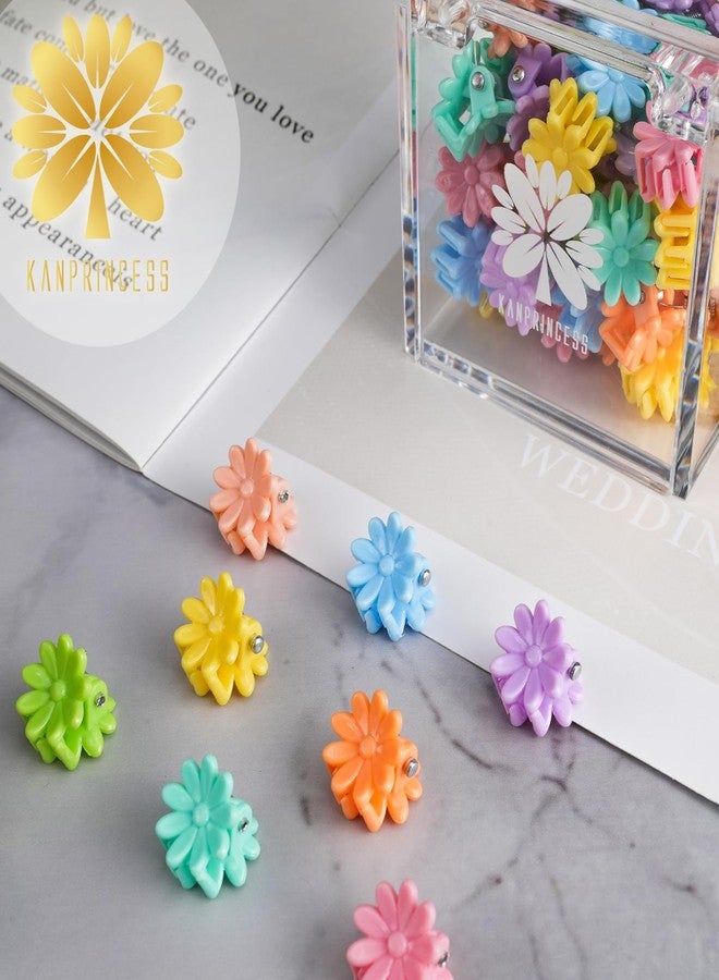 كان برنسيس مجموعة مشابك الشعر الصغيرة من كانبرنسس، 70 قطعة - مشابك شعر صغيرة مع علبة فاخرة، بتصاميم زهور وألوان زاهية للنساء والفتيات - مجموعة هدايا إكسسوارات الشعر (مجموعة 3) - Image 5