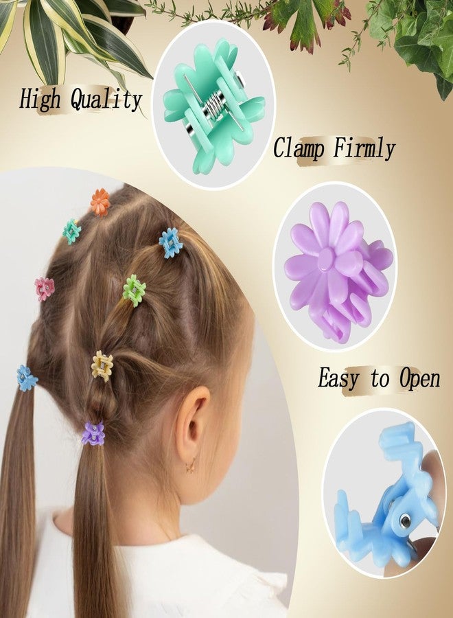 كان برنسيس مجموعة مشابك الشعر الصغيرة من كانبرنسس، 70 قطعة - مشابك شعر صغيرة مع علبة فاخرة، بتصاميم زهور وألوان زاهية للنساء والفتيات - مجموعة هدايا إكسسوارات الشعر (مجموعة 3) - Image 3