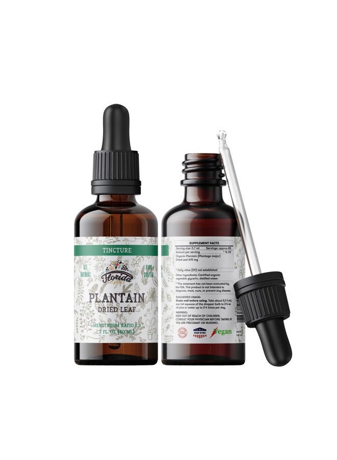 FLORIDA HERBS صبغة الموز، مستخلص الموز العضوي (Plantago Major) أوراق مجففة مكمل صحي، غير معدلة وراثيًا في جليسرين نباتي عضوي مضغوط على البارد 2 أونصة، 670 ملغ - Image 1