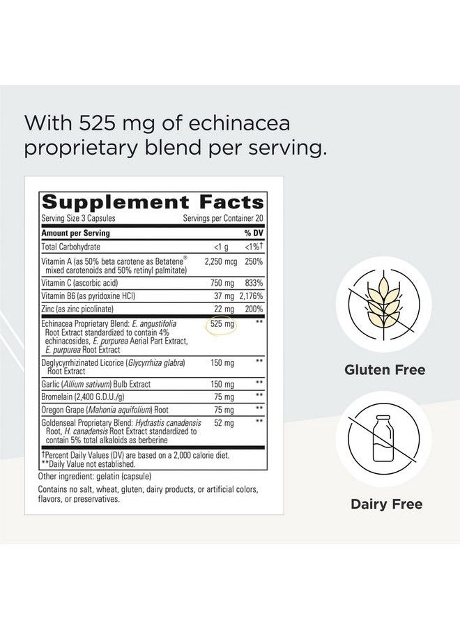 Integrative Therapeutics - Ehb (Echinacosides Hydrastine Berberine) Immune Support Supplement* Gluten Free 60 Capsules - Image 1