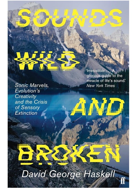 Sounds Wild and Broken