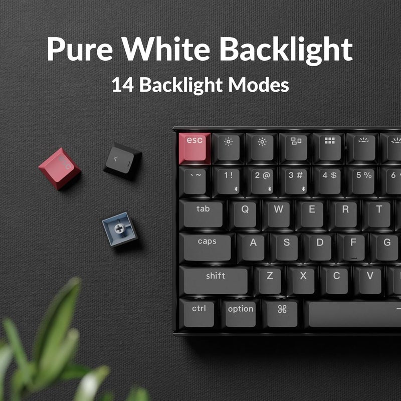 Keychron K2 75% Layout QMK Wireless and Wired Options Mechanical Keyboard Super Banana Switch, Paired with Shine-Through Double-Shot PBT Keycaps for Mac Windows-Version 3 - Image 4