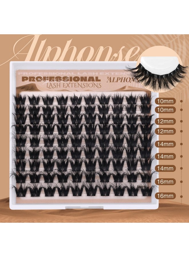 alphonse Fluffy Lash Clusters 5D Volume Lashes Clusters 10-16mm Cluster Eyelash Extensions Wispy DIY Individual Lashes Extension Soft False Eyelashes Clusters by ALPHONSE - Image 4